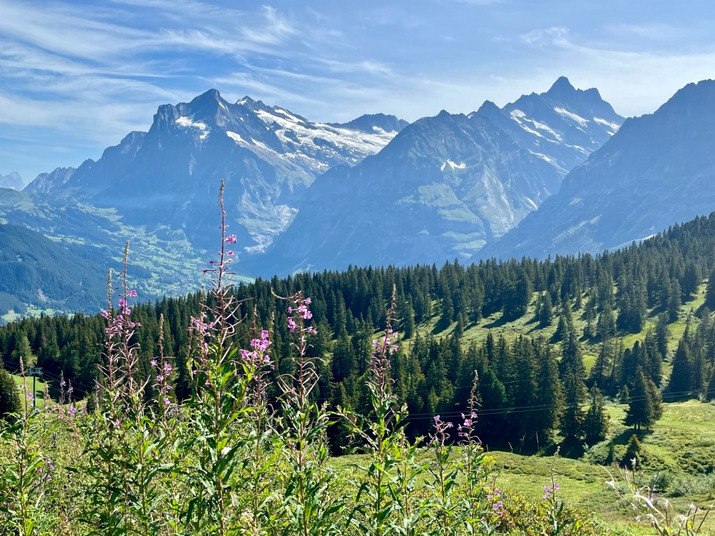 Swiss Alps for Kids: The Ultimate Guide to Fun and&nbsp;Adventure