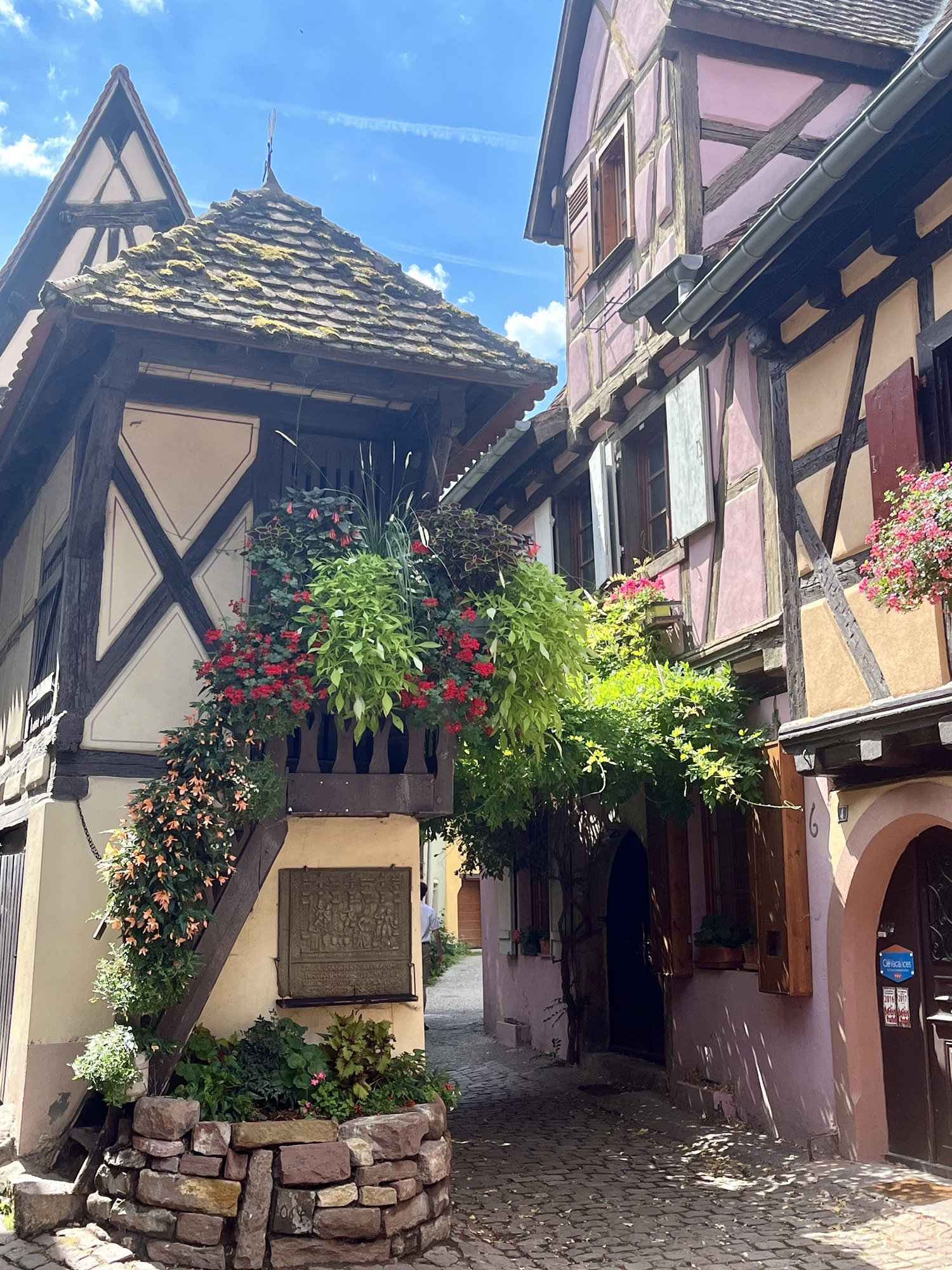 view of pretty town of Eguisheim France