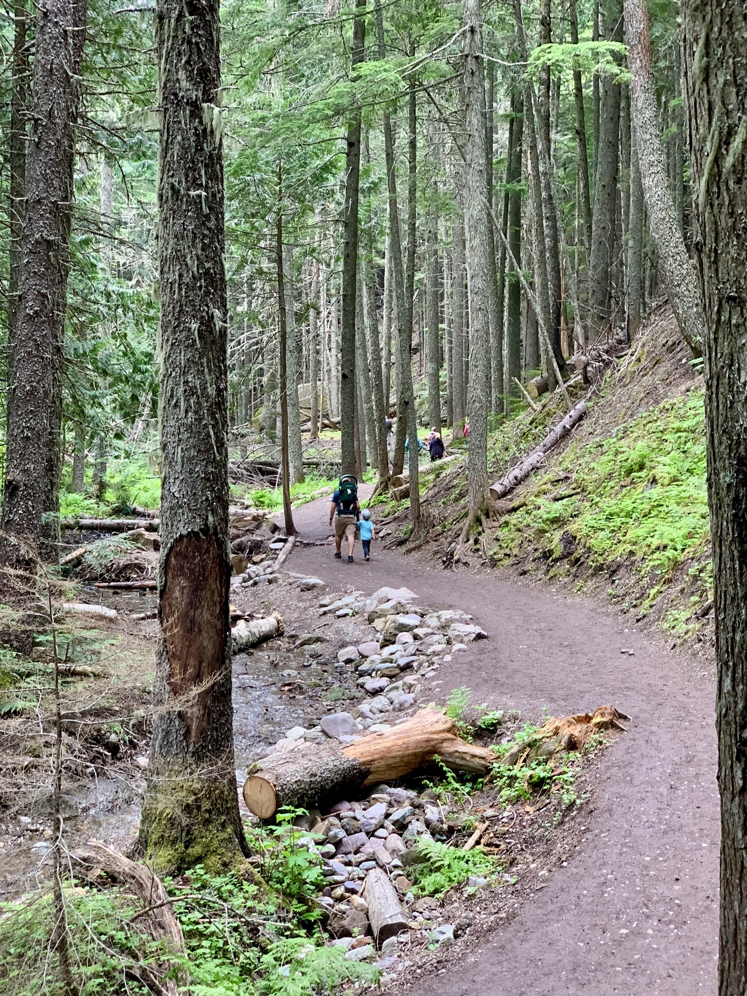 hiking to Avalanche lake in Glacier National Park