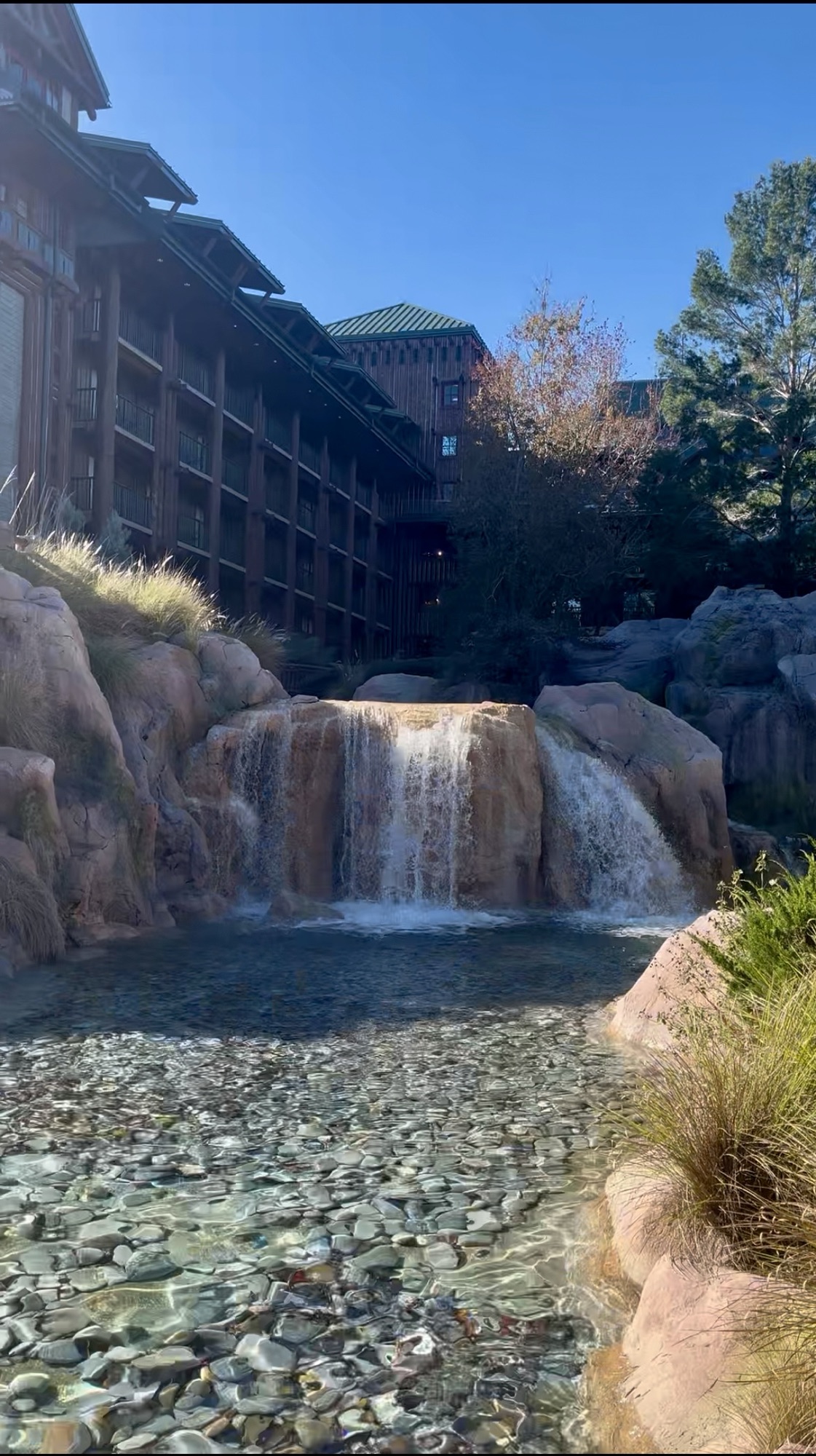 waterfall near pool at Wilderness Lodge in Disney World
