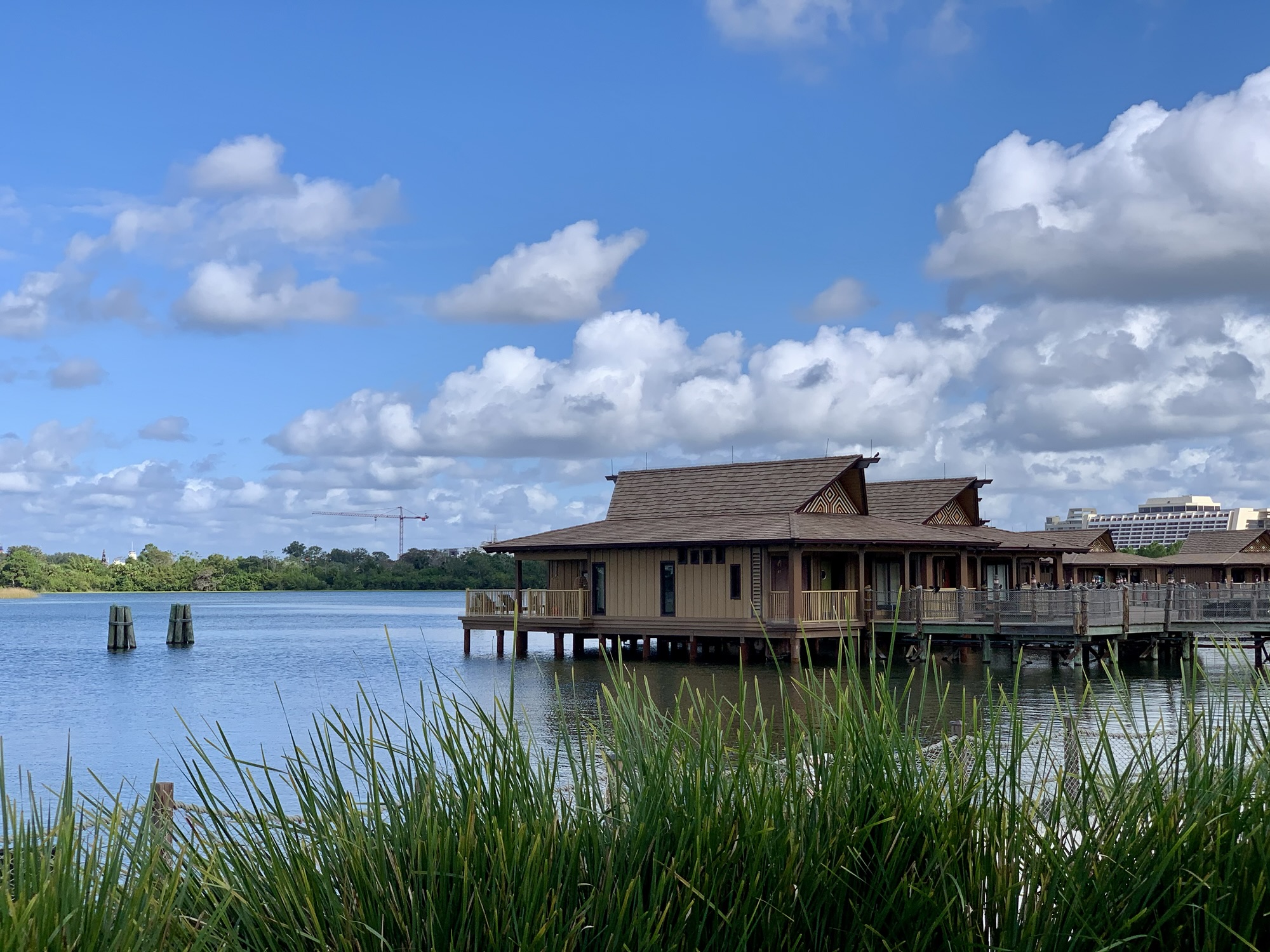 view of the bungalows at Disney's Polynesian Resort in Disney World